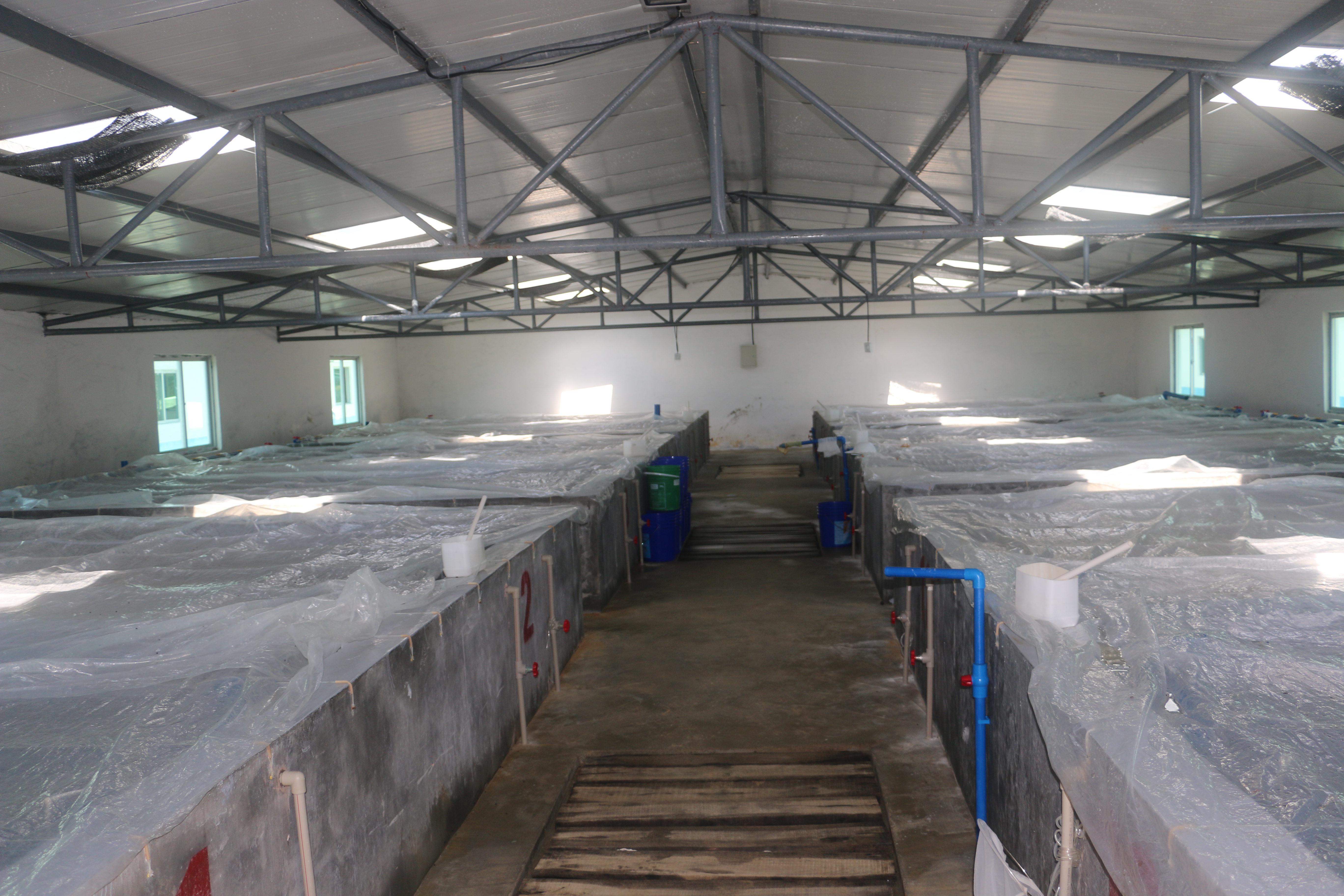 �˜ʻ�����܇�g